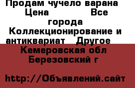 Продам чучело варана. › Цена ­ 15 000 - Все города Коллекционирование и антиквариат » Другое   . Кемеровская обл.,Березовский г.